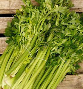 Vegetable fresh - wholesaling, washing or packing: Celery Tomtit Farm