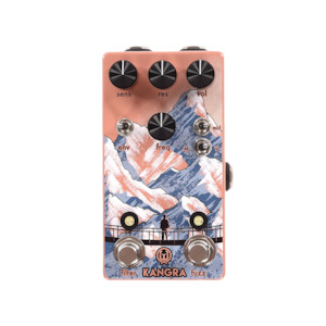 Kangra Filter Fuzz