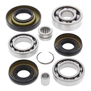 Steering Suspension: Differential Bearing Kit TRX350FE/ 35FM '00-'06 Front