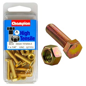 Champion 1 x 1/4in Set Screw & Nut (A) – GR5