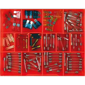 Champion 100pc Auto Fuse Assortment (Glass, Blade & Euro)