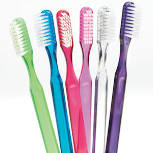 Adult Pre-Pasted Toothbrushes Bulk