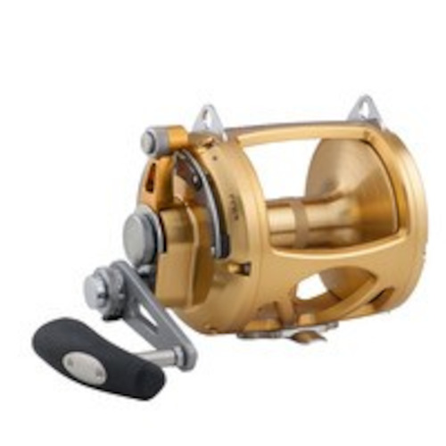 Sporting equipment: Penn INT80VISW INTERNATIONAL 80VISW REEL GLD