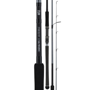 Sporting equipment: Daiwa 20 TD Saltwater S762H