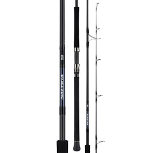 Sporting equipment: Daiwa Saltiga C83-6