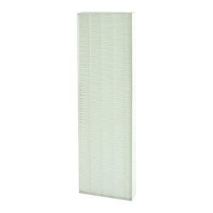 AeraMax DX5 True Hepa Filter