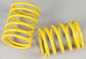 Tamiya RC 53754 1/10 RCE Damper Spring (Medium)