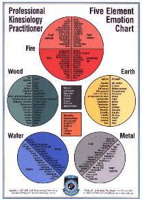 PKP 5 Element Emotion Chart