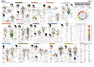 Adult, community, and other education: Touch For Health Reference Chart