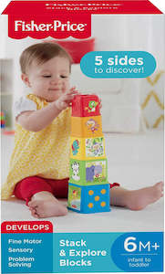 Toy: Fisher Price Stack & Explore Blocks