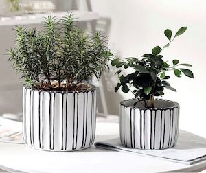 A Pair of cement Flower Pots Set (3029)