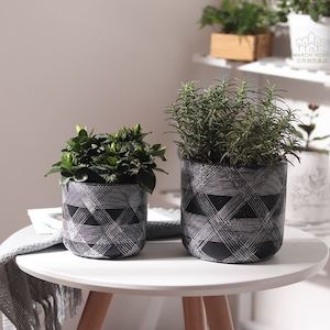 A Pair of cement Flower Pots Set (3018)