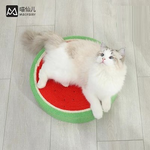 Cat scratching board watermelon design