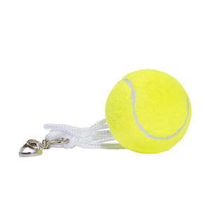 Pole Tennis Ball With String And Hook