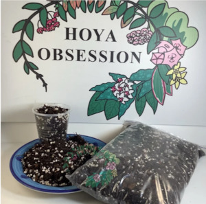 Potting Mix  for Hoya #2