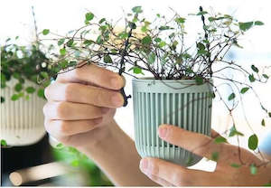 Hanging Pots, Self-watering