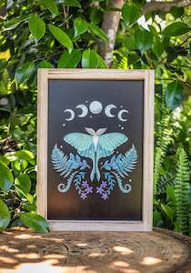 The Gallery: Luna Moth Wooden Framed Art