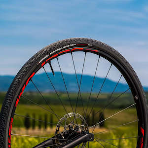 Vittoria 700c Terreno Zero TLR