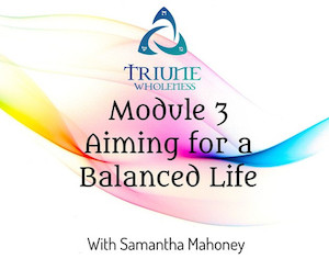 For the Health of it Series - Module 3: Aiming for a balanced Life Triune Wholeness