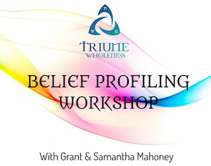 Personal health and fitness trainer: Belief Profiling Workshop Triune Wholeness