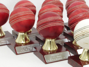 Mounted Cricket Balls