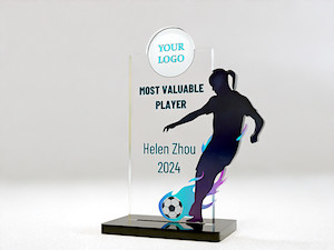 Football Silhouette Trophy Bulk runs from as little as $26.00 per trophy