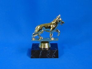 Alsatian Trophy