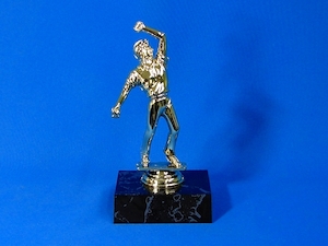 Cricket Bowler Trophy