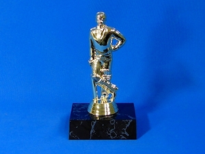 Cricketer Trophy (M)