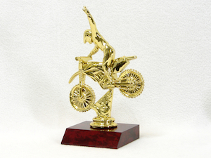 Off Road Dirt Biker Trophy