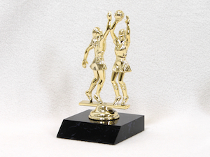 Figurines – Trophy Specialists & Engraving: Netball Double Trophy