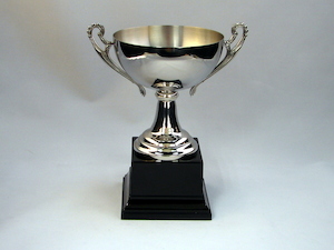 Steel Bowl Cup