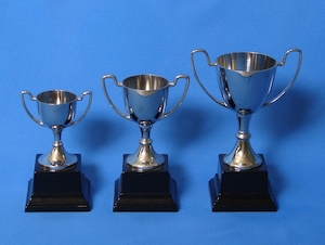 Miniature Nickel Cup Range