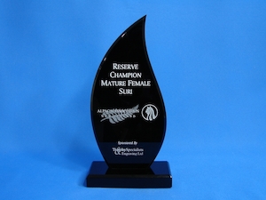 Trophies – Trophy Specialists & Engraving: Flame 10mm Black Acrylic