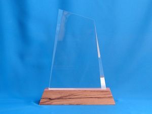 Trophies – Trophy Specialists & Engraving: Elite on NZ Native Timber Base