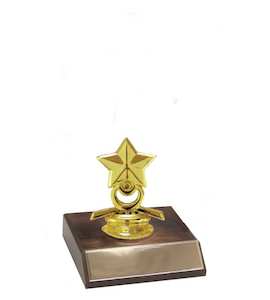 Star Award