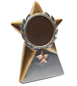 Gold Star Award – Victory