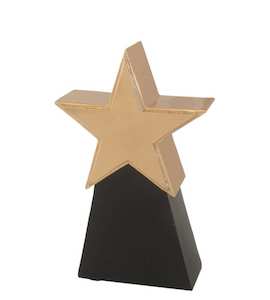 Shining Star Award