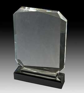 Kingston Crystal Award