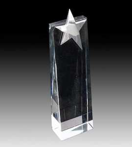 Silver Star Crystal Award