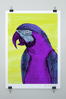 Clothing: Evie Kemp - Macaw Print, A3 by Evie Kemp