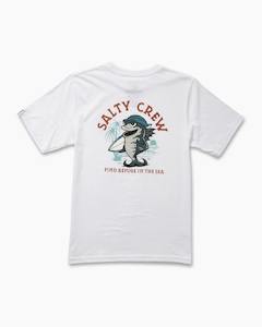 Clothing: Salty Crew Free Surf Boys Tee