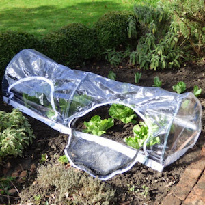 Cloche/ Mini Greenhouse Tunnel Accessory