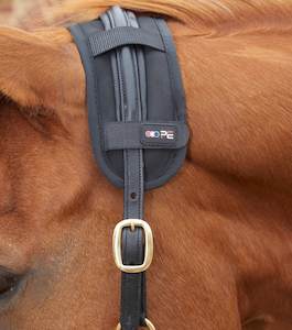 Premier Equine Magni-Teque Magnetic Poll Band