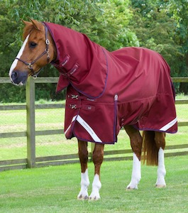 Premier Equine Titan 50g Turnout Rug with Classic Neck Cover