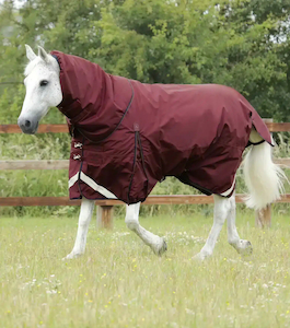 Products: Premier Equine Buster 400g Turnout Rug with Snug-Fit Neck Cover