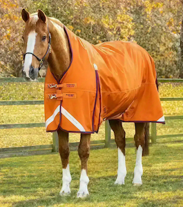 Premier Equine Buster Hardy 200g Half Neck Turnout Rug