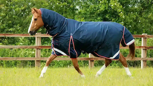 Premier Equine Buster Storm 200g Combo Turnout Rug with Snug-Fit Neck