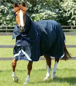 Premier Equine Buster 40g Turnout Rug with Classic Neck Cover