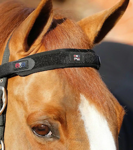 Premier Equine Magni-Teque Magnetic Browband